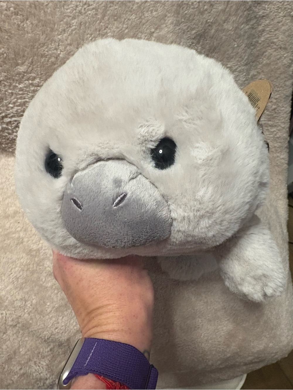 🥔🦭 Aurora Spudsters Mumbles Manatee Plush 🦭🥔